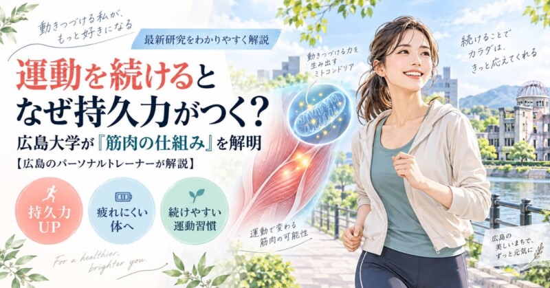 運動を続けるとなぜ持久力がつくのかを広島大学の筋肉研究をもとに解説するアイキャッチ画像